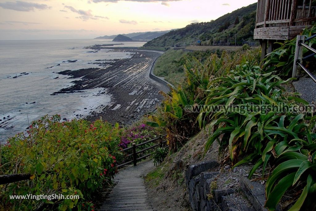 YTS_YTS_20190128_日本九州宮崎日南海岸公路公園／展望所Japan Kyushu Miyazaki Nichinan Coast Road Park046_3A5A8286.jpg