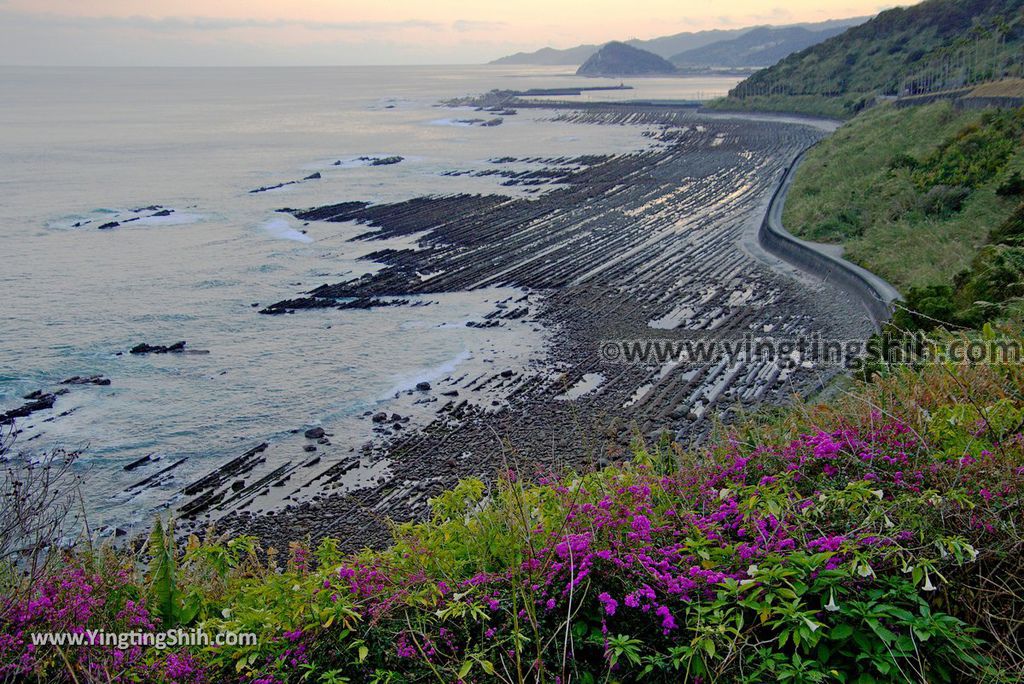 YTS_YTS_20190128_日本九州宮崎日南海岸公路公園／展望所Japan Kyushu Miyazaki Nichinan Coast Road Park049_3A5A8370.jpg