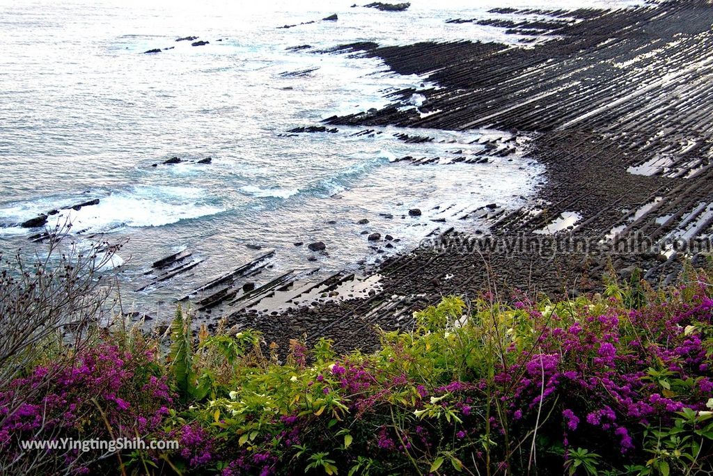 YTS_YTS_20190128_日本九州宮崎日南海岸公路公園／展望所Japan Kyushu Miyazaki Nichinan Coast Road Park051_3A5A8386.jpg