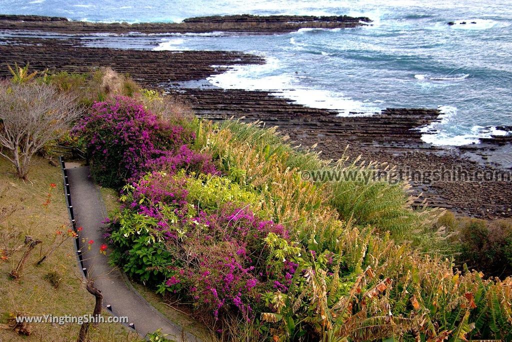 YTS_YTS_20190128_日本九州宮崎日南海岸公路公園／展望所Japan Kyushu Miyazaki Nichinan Coast Road Park058_3A5A8187.jpg