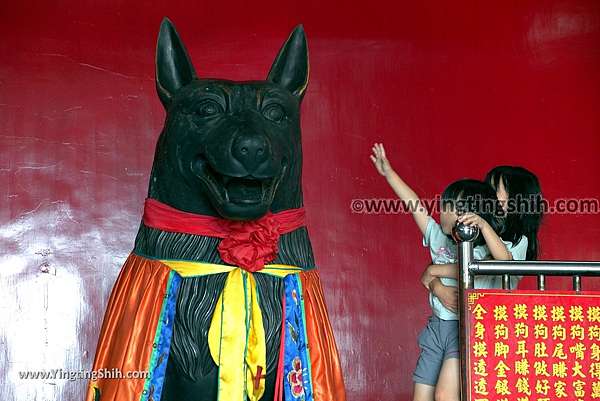 第1513篇 新北石門 乾華十八王公廟 新廟 超大神犬像ｘ台灣景點導覽 New Taipei Shimen Temple Of The Eighteen Lords Giant Dog X Taiwan Attraction Navigation 施盈廷 S 施旅行