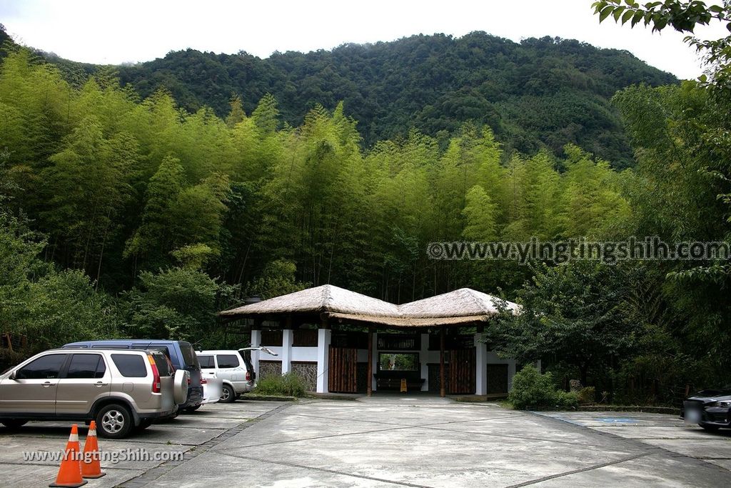 YTS_YTS_20190622_嘉義阿里山迷糊步道／樂米吊橋／茄苳巨木／米洋吊橋Chiayi Alishan Mihu Trail005_539A2872.jpg