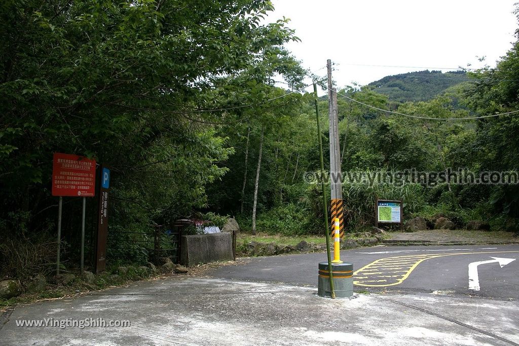 YTS_YTS_20190622_嘉義阿里山迷糊步道／樂米吊橋／茄苳巨木／米洋吊橋Chiayi Alishan Mihu Trail007_539A2866.jpg