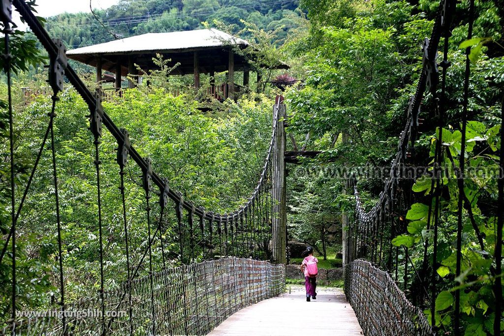 YTS_YTS_20190622_嘉義阿里山迷糊步道／樂米吊橋／茄苳巨木／米洋吊橋Chiayi Alishan Mihu Trail027_539A3172.jpg