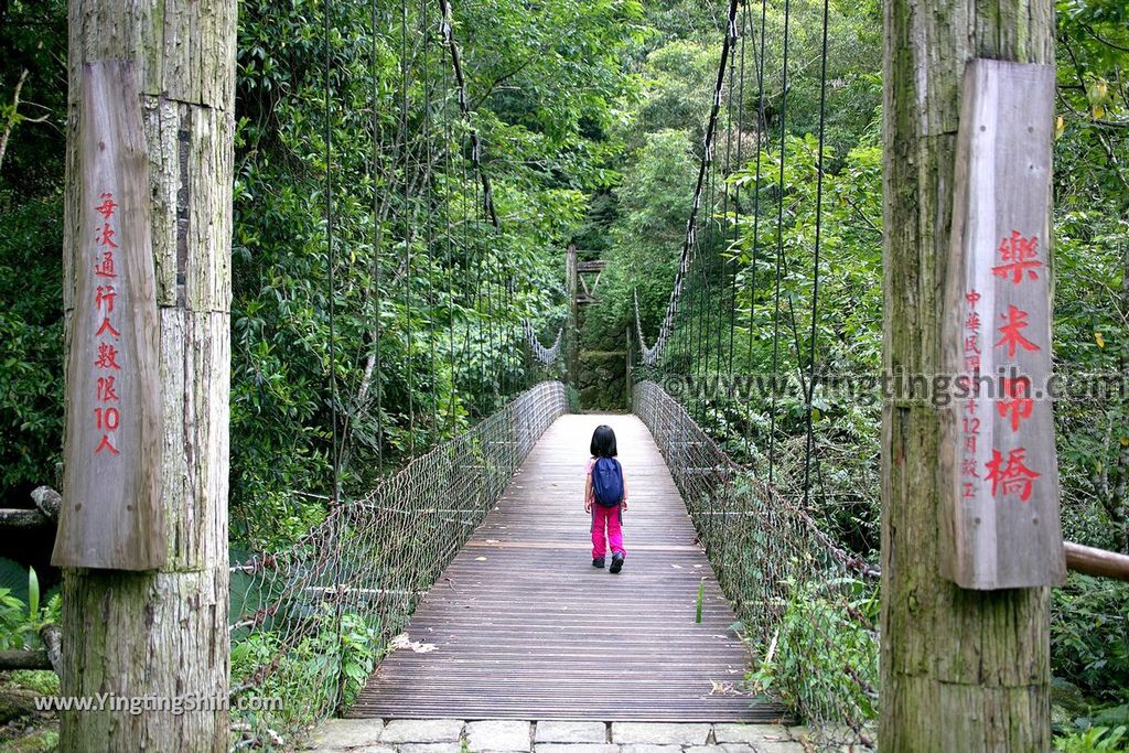 YTS_YTS_20190622_嘉義阿里山迷糊步道／樂米吊橋／茄苳巨木／米洋吊橋Chiayi Alishan Mihu Trail041_539A2930.jpg