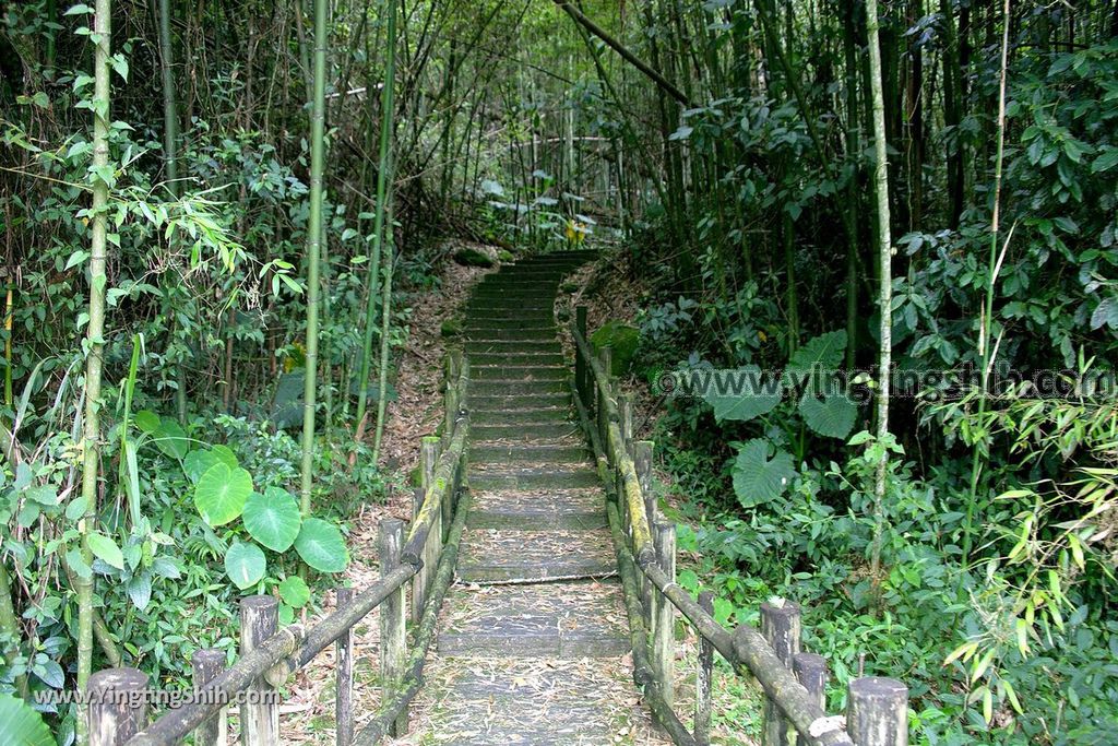 YTS_YTS_20190622_嘉義阿里山迷糊步道／樂米吊橋／茄苳巨木／米洋吊橋Chiayi Alishan Mihu Trail057_539A3068.jpg