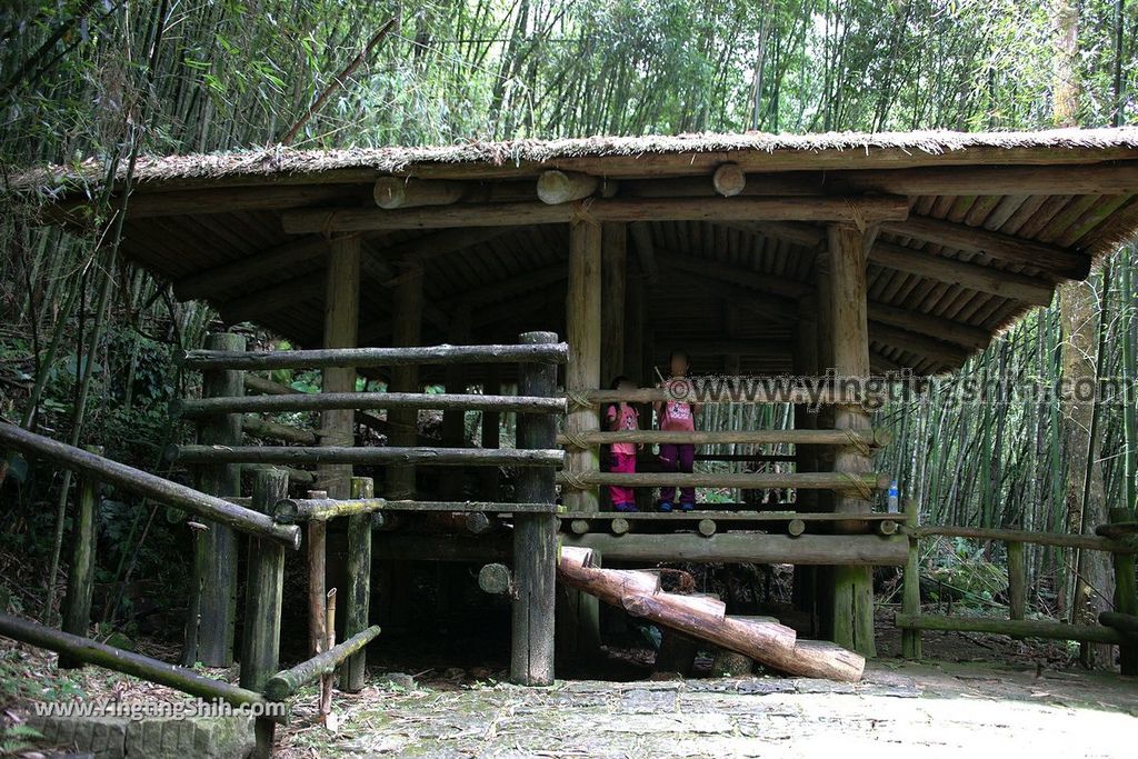 YTS_YTS_20190622_嘉義阿里山迷糊步道／樂米吊橋／茄苳巨木／米洋吊橋Chiayi Alishan Mihu Trail071_539A3111.jpg