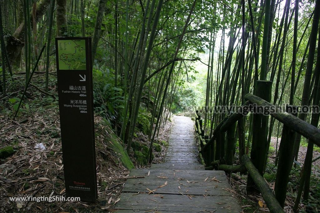 YTS_YTS_20190622_嘉義阿里山迷糊步道／樂米吊橋／茄苳巨木／米洋吊橋Chiayi Alishan Mihu Trail093_539A3148.jpg