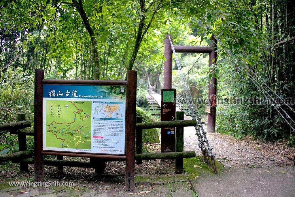 YTS_YTS_20190622_嘉義阿里山迷糊步道／樂米吊橋／茄苳巨木／米洋吊橋Chiayi Alishan Mihu Trail096_539A3453.jpg