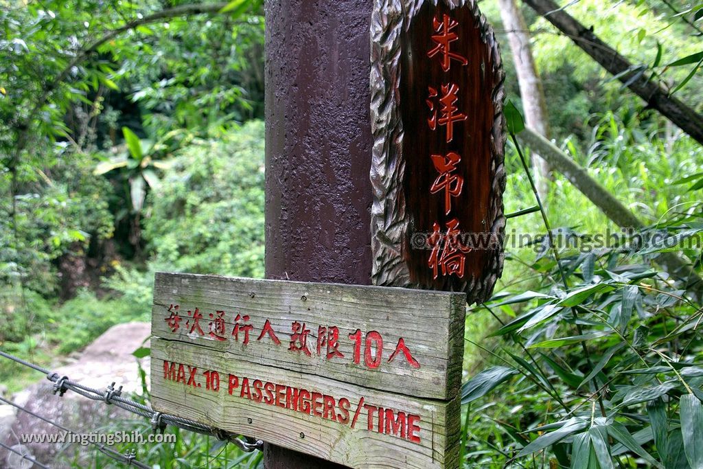 YTS_YTS_20190622_嘉義阿里山迷糊步道／樂米吊橋／茄苳巨木／米洋吊橋Chiayi Alishan Mihu Trail100_539A3462.jpg