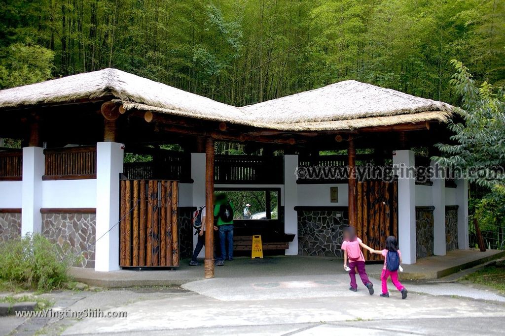 YTS_YTS_20190622_嘉義阿里山迷糊步道／樂米吊橋／茄苳巨木／米洋吊橋Chiayi Alishan Mihu Trail106_539A2899.jpg