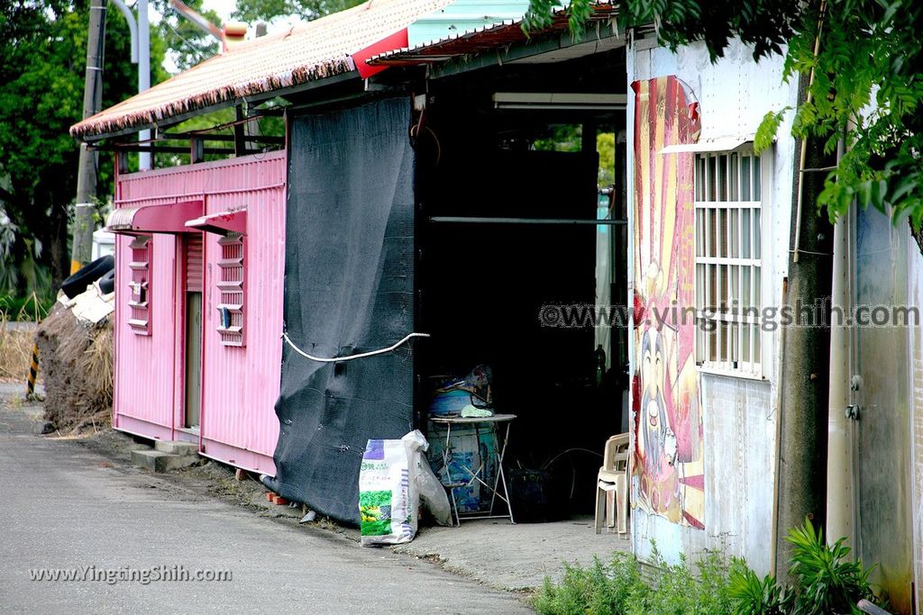 YTS_YTS_20190623_雲林虎尾自助玫瑰園Yunlin Huwei Self-service Rose Garden010_539A4635.jpg