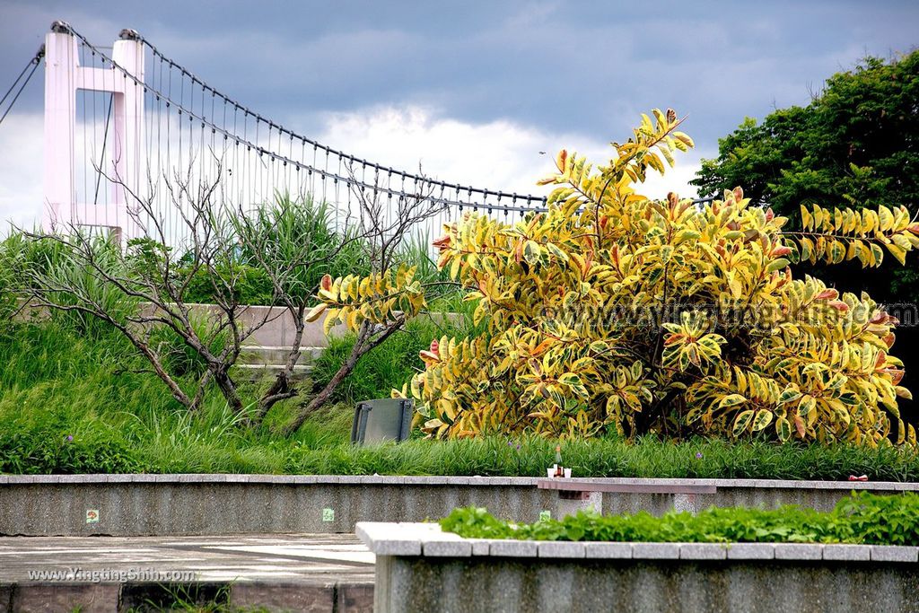 YTS_YTS_20190623_雲林斗南他里霧親水公園／情人鵲橋／情人吊橋Yunlin Dounan Qingren Suspension Bridge037_539A4616.jpg