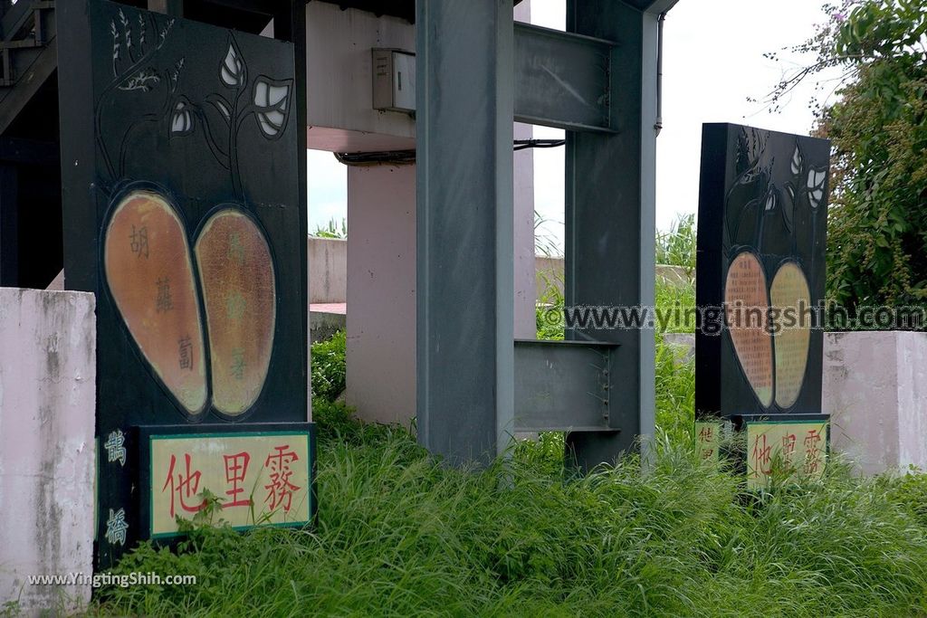 YTS_YTS_20190623_雲林斗南他里霧親水公園／情人鵲橋／情人吊橋Yunlin Dounan Qingren Suspension Bridge041_539A4426.jpg