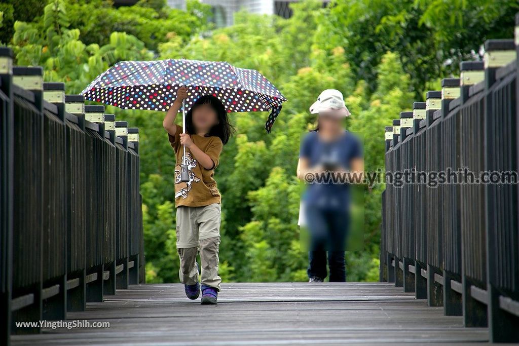 YTS_YTS_20190623_雲林斗南他里霧親水公園／情人鵲橋／情人吊橋Yunlin Dounan Qingren Suspension Bridge055_539A4501.jpg