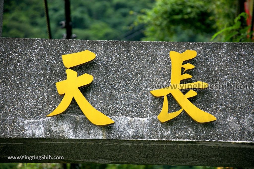 YTS_YTS_20190622_嘉義阿里山天長地久橋／龍隱寺／聖南宮Chiayi Alishan Tianchang And Dijiu Suspension Bridges102_539A3726.jpg