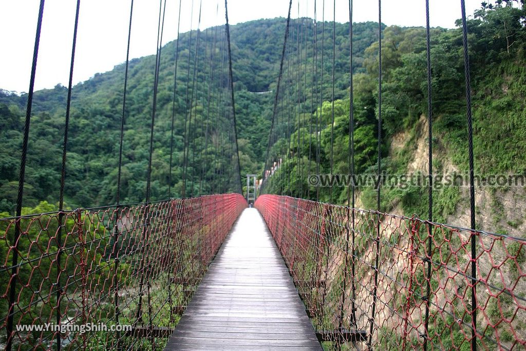 YTS_YTS_20190622_嘉義阿里山天長地久橋／龍隱寺／聖南宮Chiayi Alishan Tianchang And Dijiu Suspension Bridges105_539A3686.jpg