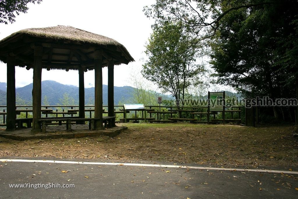 YTS_YTS_20190622_嘉義阿里山福山古道／米洋吊橋Chiayi Alishan Fushan Trail002_539A3188.jpg