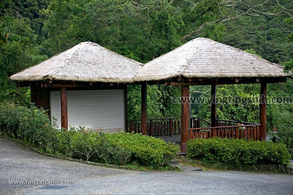 YTS_YTS_20190622_嘉義阿里山福山古道／米洋吊橋Chiayi Alishan Fushan Trail014_539A3611.jpg