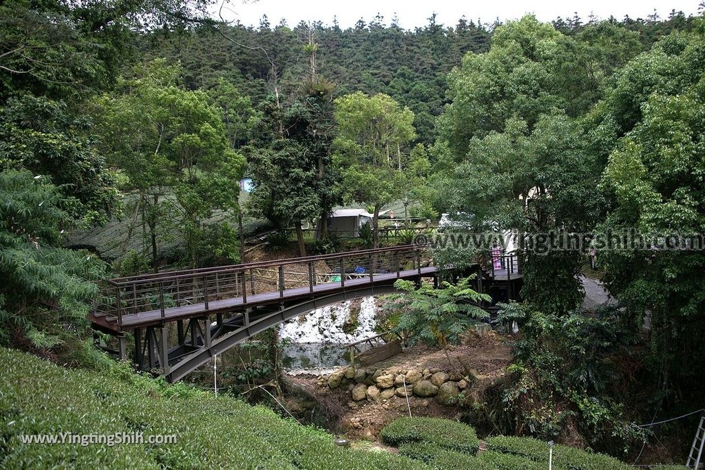 YTS_YTS_20190622_嘉義阿里山福山古道／米洋吊橋Chiayi Alishan Fushan Trail019_539A3234.jpg