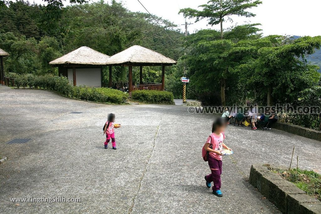 YTS_YTS_20190622_嘉義阿里山福山古道／米洋吊橋Chiayi Alishan Fushan Trail026_539A3228.jpg