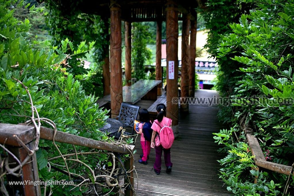 YTS_YTS_20190622_嘉義阿里山福山古道／米洋吊橋Chiayi Alishan Fushan Trail036_539A3267.jpg