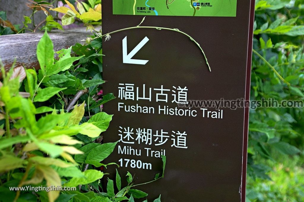 YTS_YTS_20190622_嘉義阿里山福山古道／米洋吊橋Chiayi Alishan Fushan Trail035_539A3265.jpg