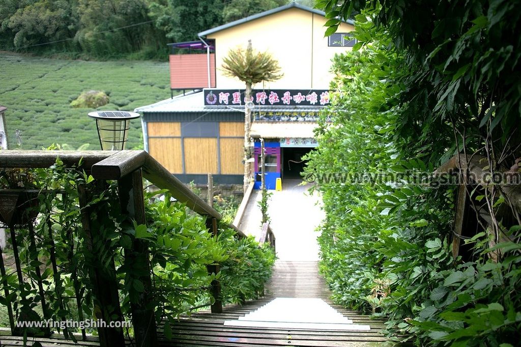 YTS_YTS_20190622_嘉義阿里山福山古道／米洋吊橋Chiayi Alishan Fushan Trail038_539A3269.jpg