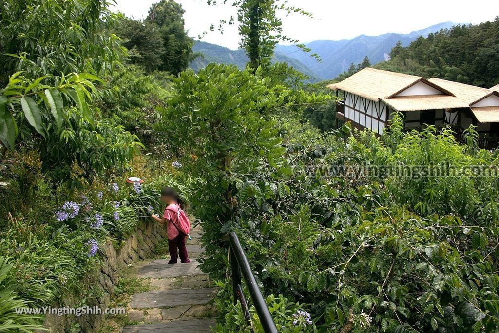 YTS_YTS_20190622_嘉義阿里山福山古道／米洋吊橋Chiayi Alishan Fushan Trail042_539A3282.jpg