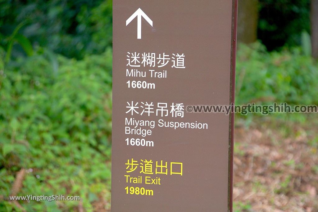 YTS_YTS_20190622_嘉義阿里山福山古道／米洋吊橋Chiayi Alishan Fushan Trail056_539A3291.jpg