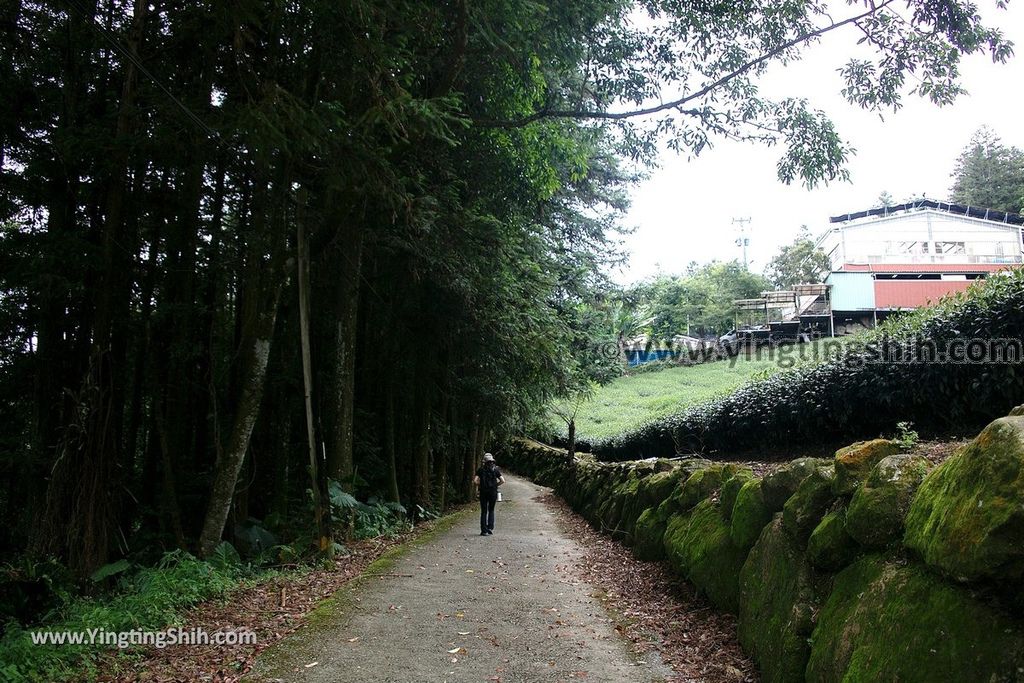 YTS_YTS_20190622_嘉義阿里山福山古道／米洋吊橋Chiayi Alishan Fushan Trail057_539A3292.jpg