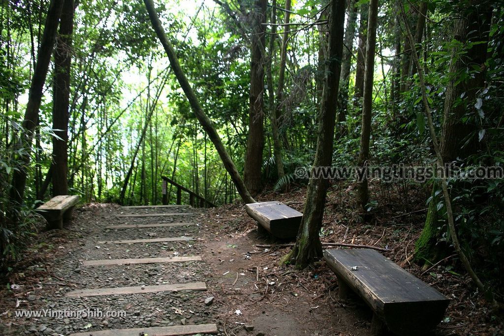 YTS_YTS_20190622_嘉義阿里山福山古道／米洋吊橋Chiayi Alishan Fushan Trail066_539A3320.jpg