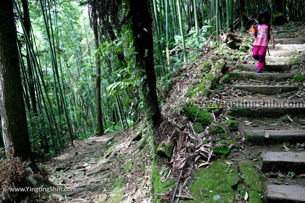 YTS_YTS_20190622_嘉義阿里山福山古道／米洋吊橋Chiayi Alishan Fushan Trail075_539A3351.jpg