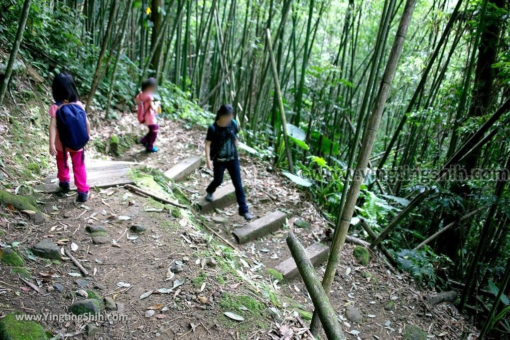 YTS_YTS_20190622_嘉義阿里山福山古道／米洋吊橋Chiayi Alishan Fushan Trail076_539A3356.jpg