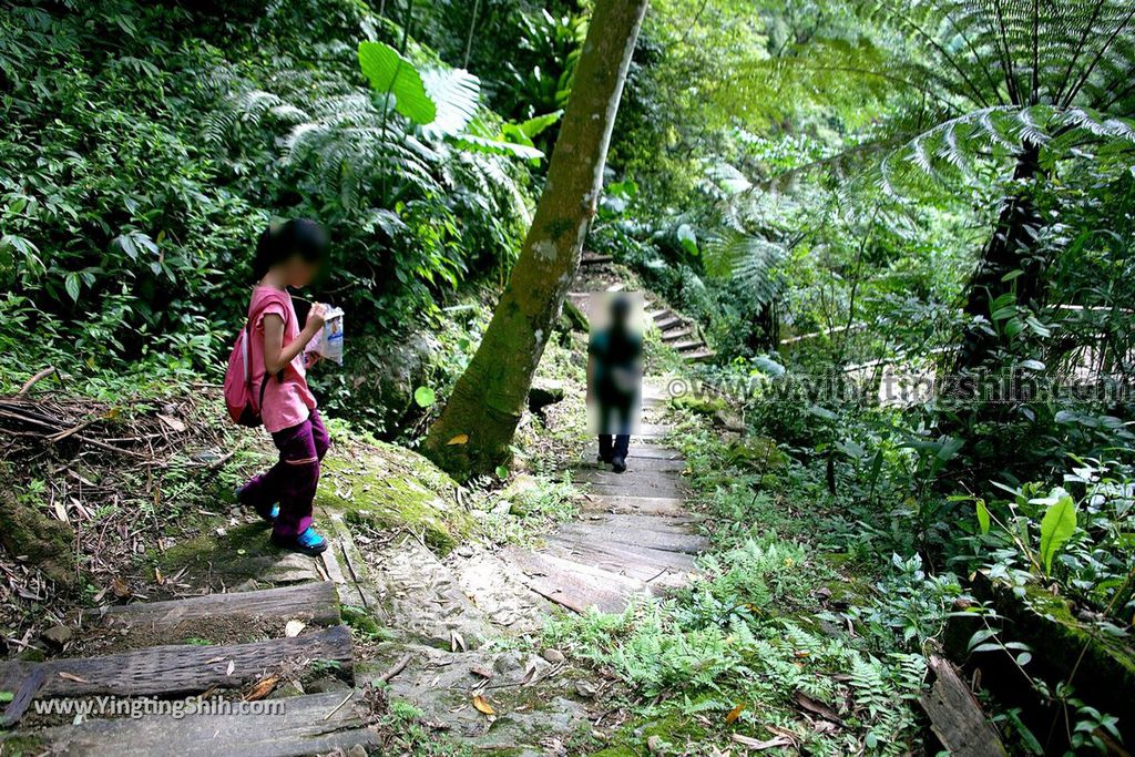 YTS_YTS_20190622_嘉義阿里山福山古道／米洋吊橋Chiayi Alishan Fushan Trail091_539A3397.jpg