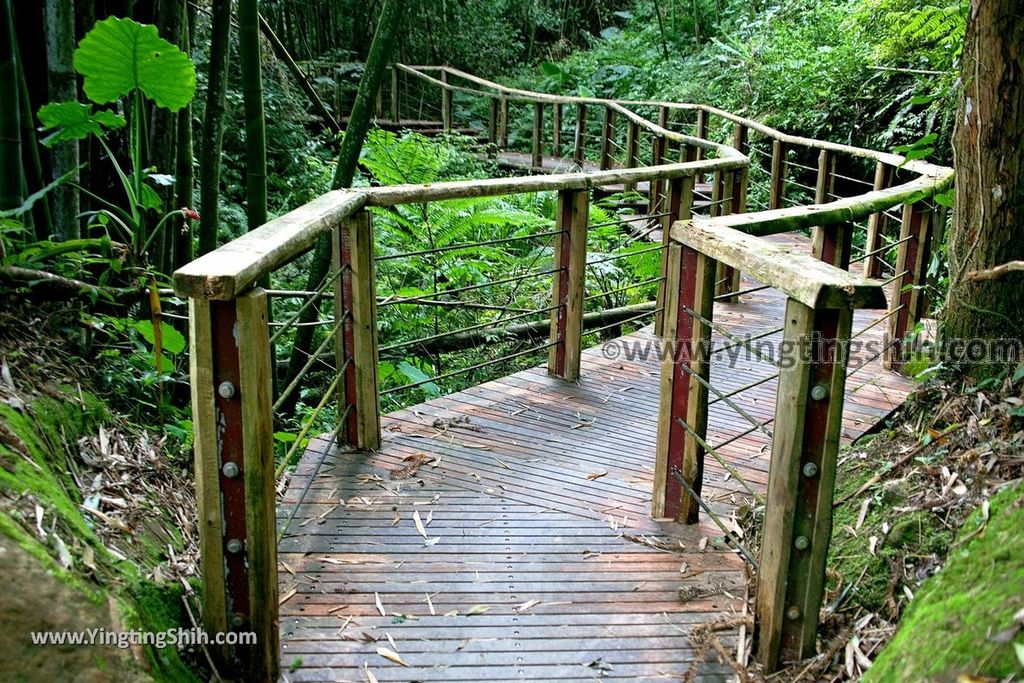 YTS_YTS_20190622_嘉義阿里山福山古道／米洋吊橋Chiayi Alishan Fushan Trail105_539A3437.jpg