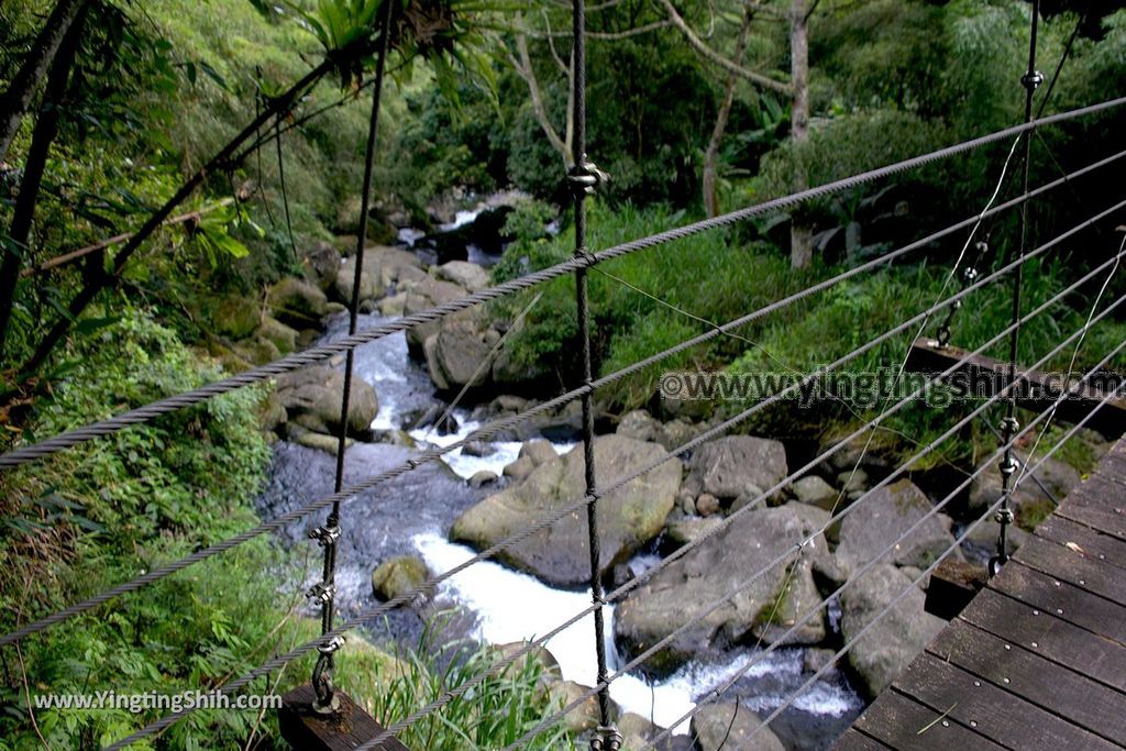 YTS_YTS_20190622_嘉義阿里山福山古道／米洋吊橋Chiayi Alishan Fushan Trail116_539A3465.jpg