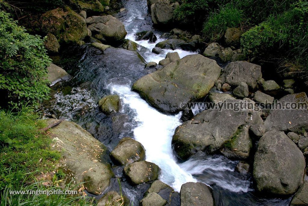 YTS_YTS_20190622_嘉義阿里山福山古道／米洋吊橋Chiayi Alishan Fushan Trail117_539A3472.jpg