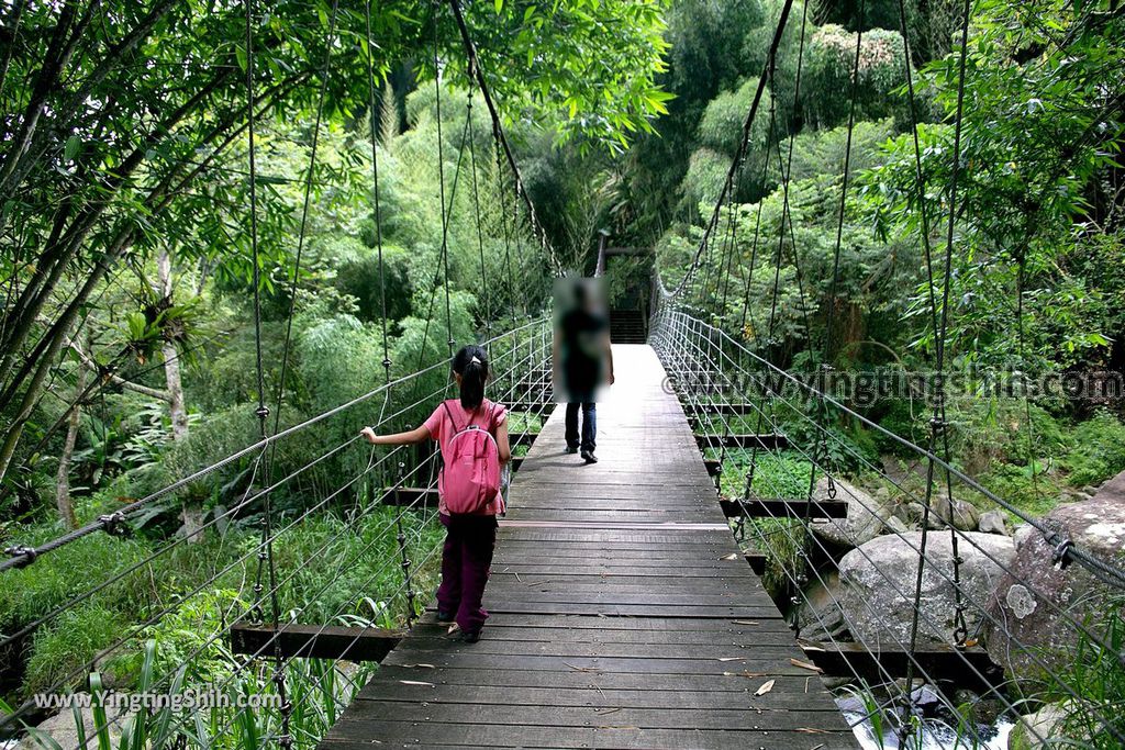 YTS_YTS_20190622_嘉義阿里山福山古道／米洋吊橋Chiayi Alishan Fushan Trail115_539A3463.jpg