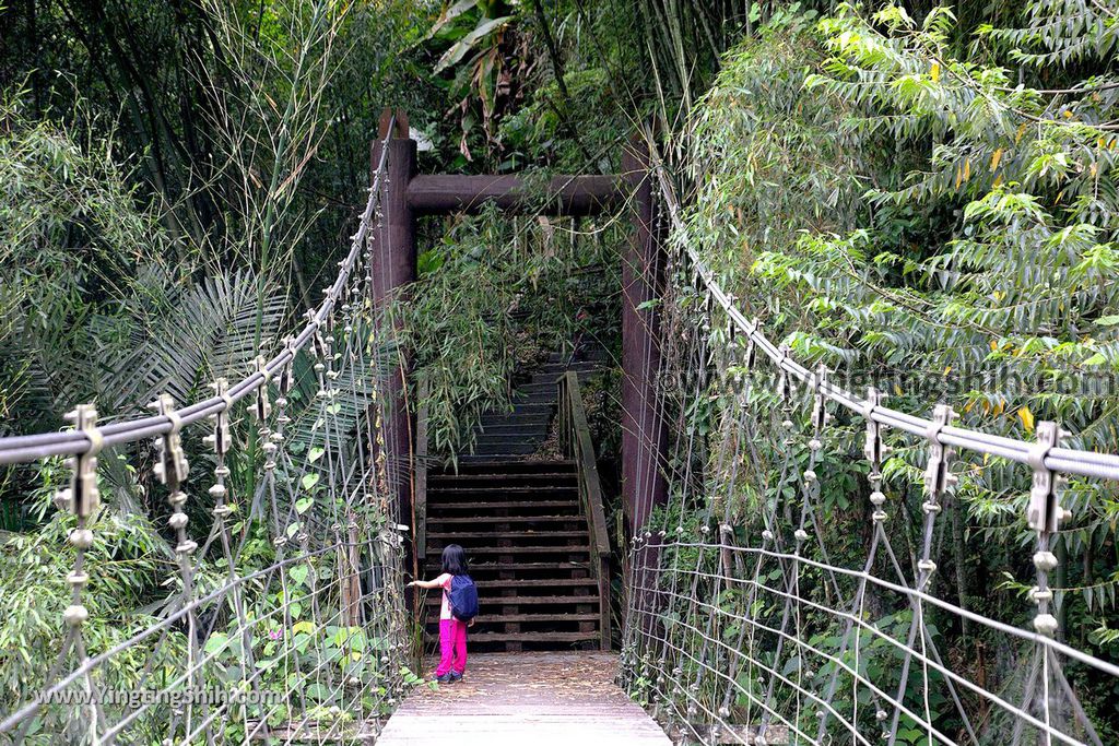 YTS_YTS_20190622_嘉義阿里山福山古道／米洋吊橋Chiayi Alishan Fushan Trail119_539A3522.jpg