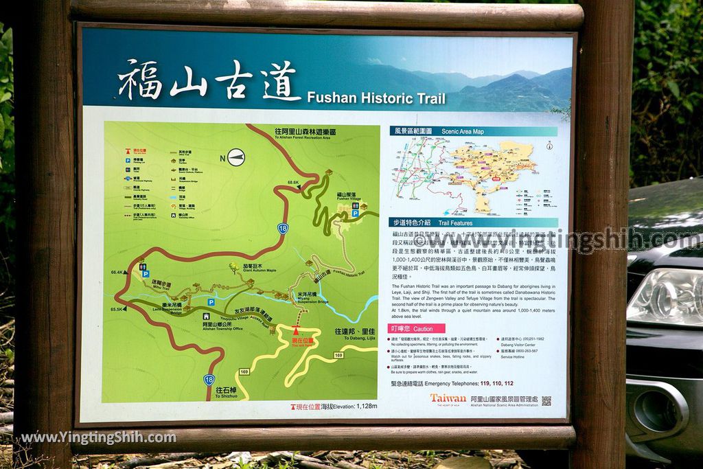 YTS_YTS_20190622_嘉義阿里山福山古道／米洋吊橋Chiayi Alishan Fushan Trail122_539A3184.jpg