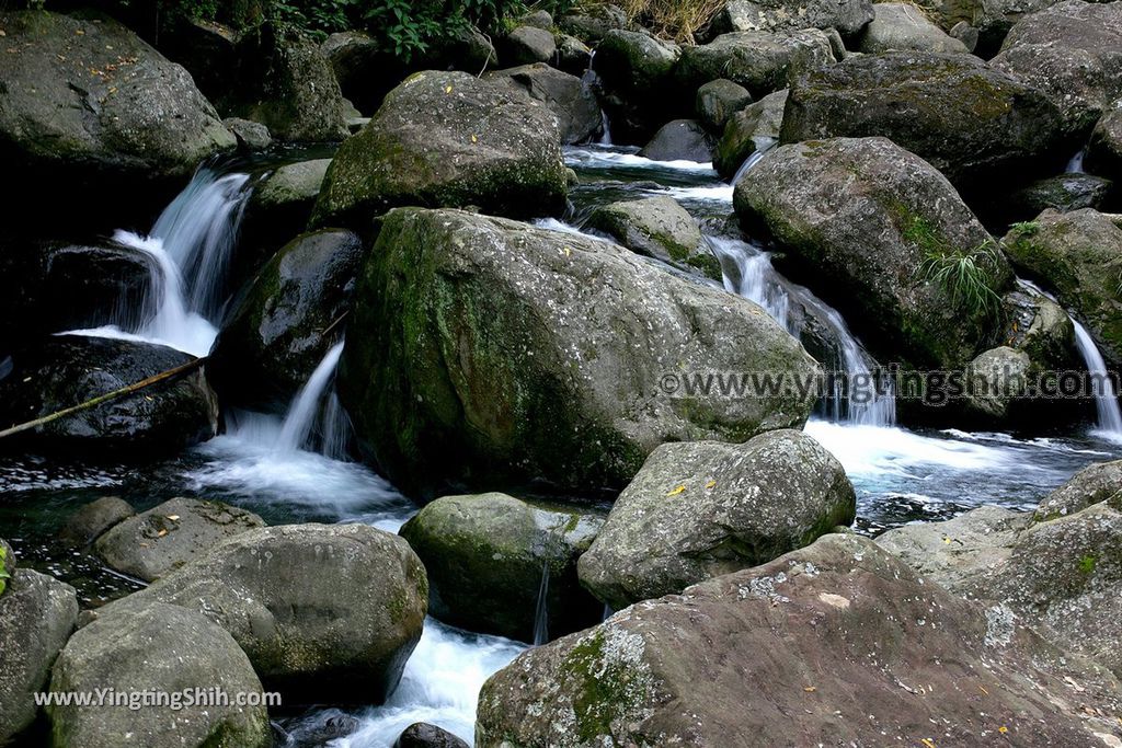 YTS_YTS_20190622_嘉義阿里山福山古道／米洋吊橋Chiayi Alishan Fushan Trail126_539A3545.jpg