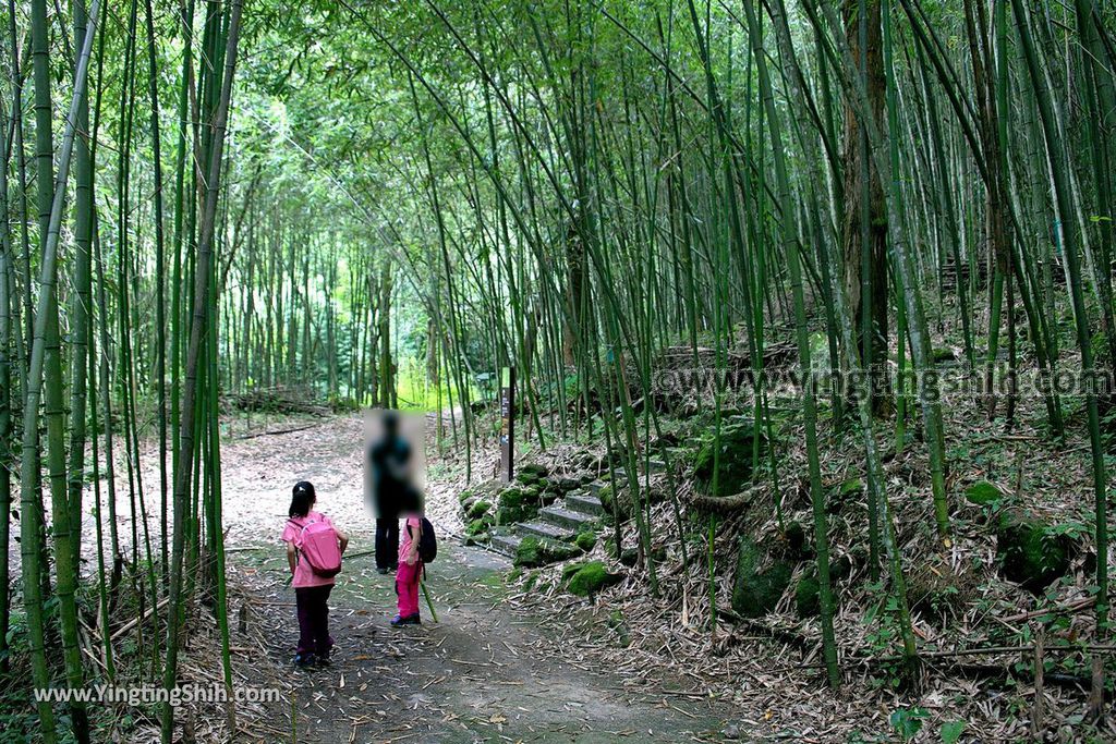 YTS_YTS_20190622_嘉義阿里山福山古道／米洋吊橋Chiayi Alishan Fushan Trail130_539A3152.jpg