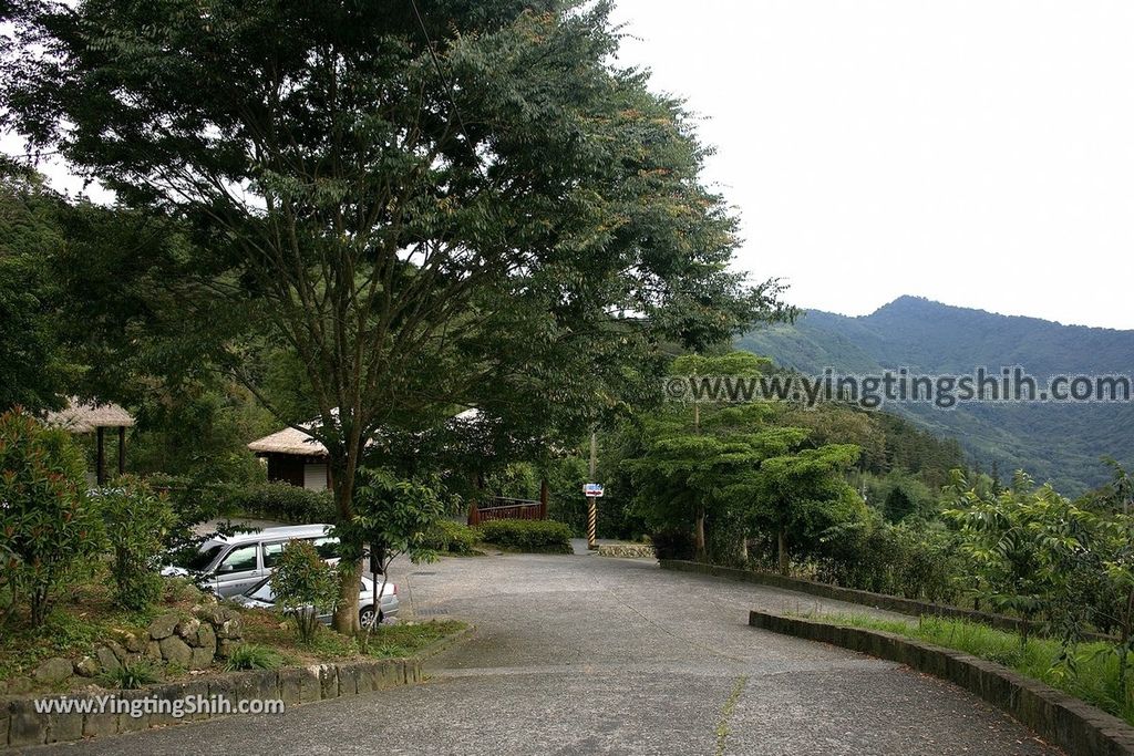 YTS_YTS_20190622_嘉義阿里山福山古道／米洋吊橋Chiayi Alishan Fushan Trail147_539A3610.jpg