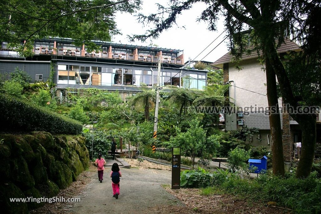 YTS_YTS_20190622_嘉義阿里山福山古道／米洋吊橋Chiayi Alishan Fushan Trail144_539A3594.jpg