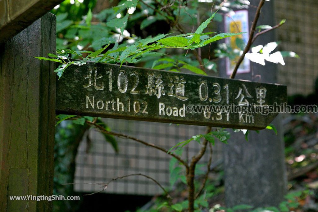 YTS_YTS_20190615_新北瑞芳蘭陽登山步道／保民堂／青雲寶殿New Taipei Ruifang Lanyang Hiking Trail062_539A0089.jpg