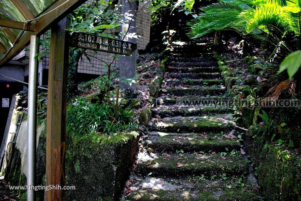 YTS_YTS_20190615_新北瑞芳蘭陽登山步道／保民堂／青雲寶殿New Taipei Ruifang Lanyang Hiking Trail061_539A0088.jpg