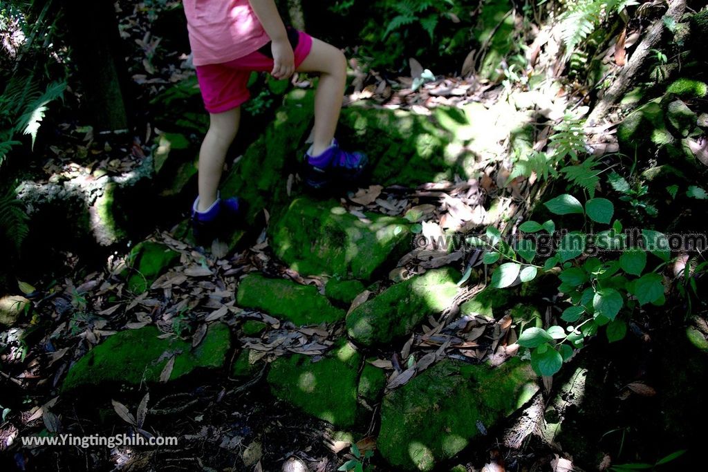 YTS_YTS_20190615_新北瑞芳蘭陽登山步道／保民堂／青雲寶殿New Taipei Ruifang Lanyang Hiking Trail069_539A0107.jpg