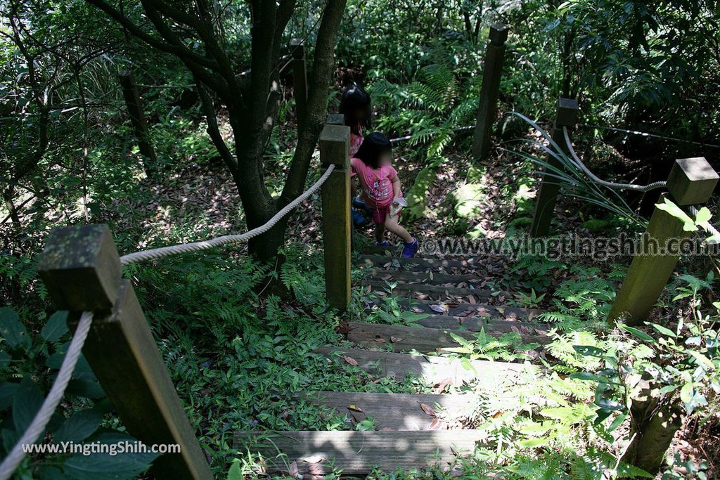 YTS_YTS_20190615_新北瑞芳蘭陽登山步道／保民堂／青雲寶殿New Taipei Ruifang Lanyang Hiking Trail074_539A0115.jpg