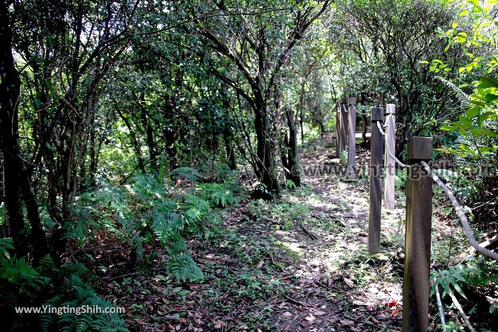 YTS_YTS_20190615_新北瑞芳蘭陽登山步道／保民堂／青雲寶殿New Taipei Ruifang Lanyang Hiking Trail075_539A0118.jpg